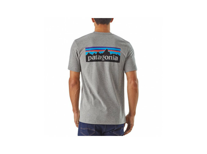 Patagonia M's P-6 Logo Pocket Responsibili-Tee GLH