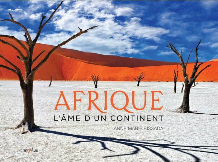 AFRIQUE - L'AME D'UN CONTINENT