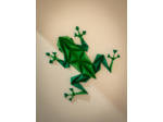 Grenouille Verte en 3D - 33x30cm