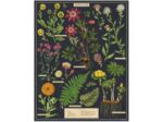 Cavallini 1000 Piece Puzzle, Herbarium