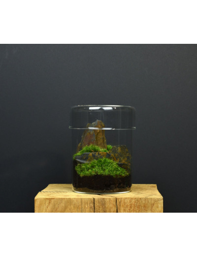 TERRARIUM ZAŌ