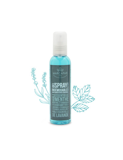 SPRAY FIXANT indémodable