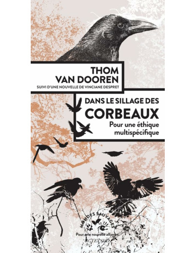 DANS LE SILLAGE DES CORBEAUX