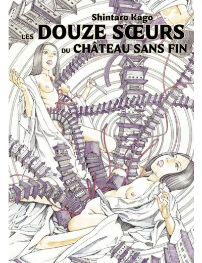 LES DOUZE SOEUR DU CHATEAU SANS FIN - T02 - LES DOUZE SOEUR DU CHATEAU SANS FIN