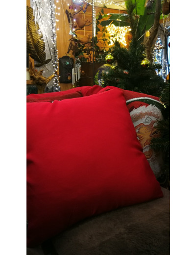 COUSSIN DE NOEL