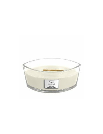 Bougie Ellipse - YLANG YLANG SOLAIRE / YLANG YLANG