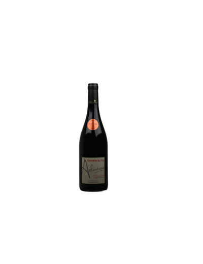 Chinon Autentique Domaine Du Puy 2022 Bout 75 Cl