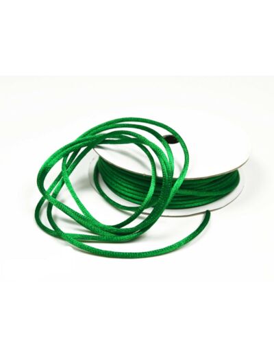 Cordon queue de rat 2 mm d'épaisseur bobine de 10 metres colori vert