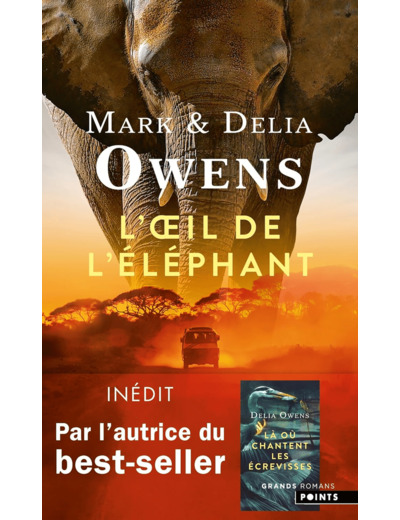 L'OEIL DE L'ELEPHANT