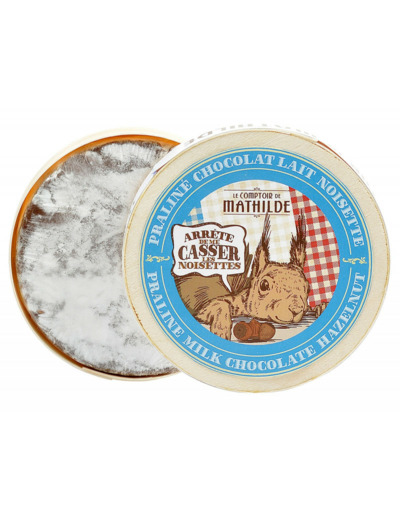 Camembert en chocolat lait praliné noisette