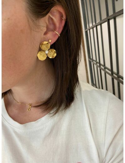 Boucles d'oreilles