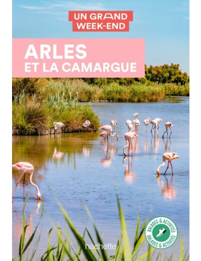 ARLES ET LA CAMARGUE GUIDE UN GRAND WEEK-END A ARLES ET LA CAMARGUE