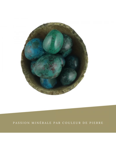 Chrysocolle