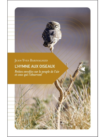 L HYMNE AUX OISEAUX - PETITES ENVOLEES SUR LE PEUPLE DE L AI