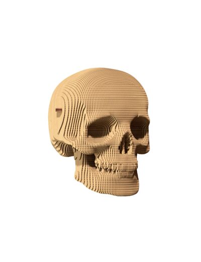Crâne Puzzle 3D