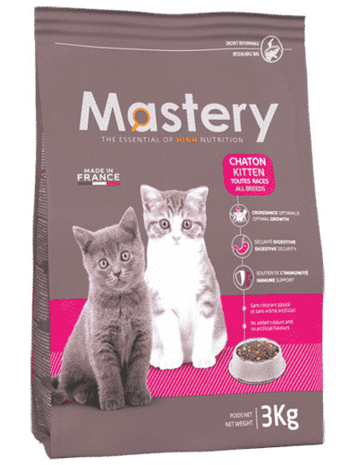 Mastery chaton kitten