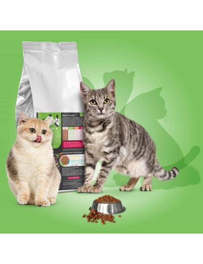 Croquettes Vetsaveur chat light 11kg