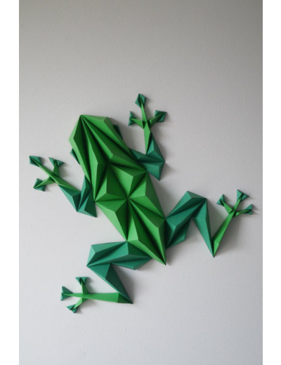 Grenouille Verte en 3D - 33x30cm