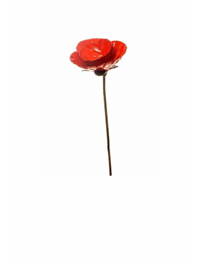 Coquelicot