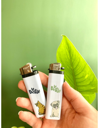 Briquet