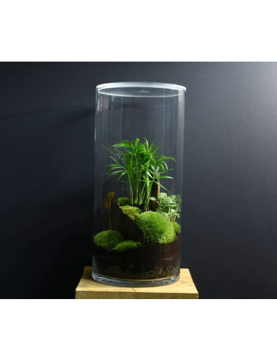 TERRARIUM NYU