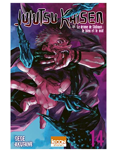 JUJUTSU KAISEN T14