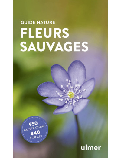 FLEURS SAUVAGES