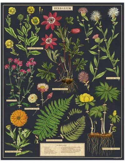 Cavallini 1000 Piece Puzzle, Herbarium