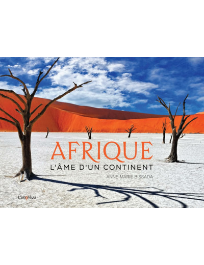 AFRIQUE - L'AME D'UN CONTINENT