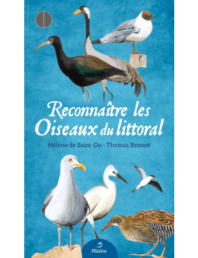 RECONNAITRE LES OISEAUX DU LITTORAL