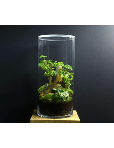 TERRARIUM YOKO