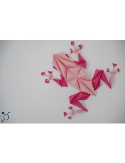 Grenouille Rose en 3D - 33x30cm