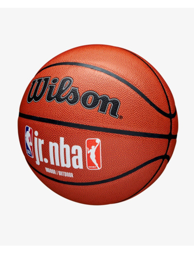 Wilson Jr. NBA Family Basketball