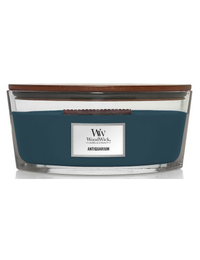 WOODWICK ANTIQUARIUM ELLIPSE